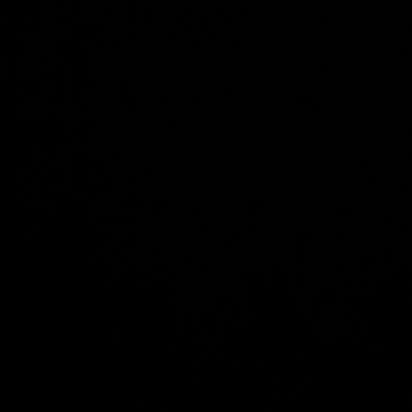 Meet your Posher, Alyssa - Picture 1 of 1